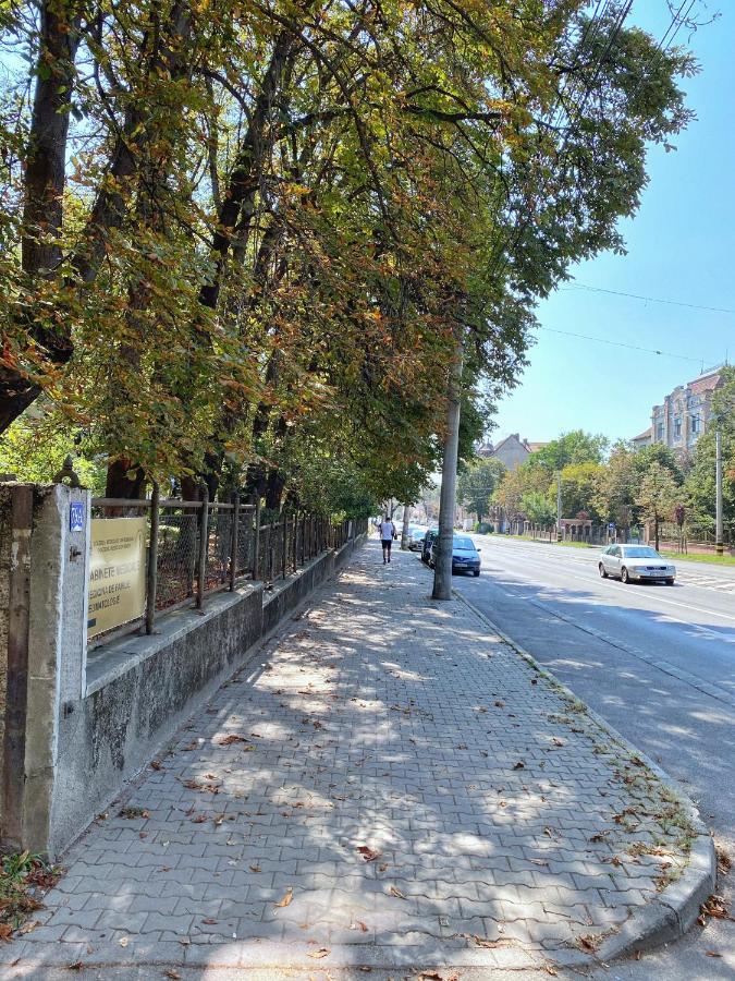 Highland Home - Cozy Apartments Near City Center Oradea Zewnętrze zdjęcie